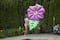 6ft. Inflatable Green & Pink Hibiscus Flower Pool Float